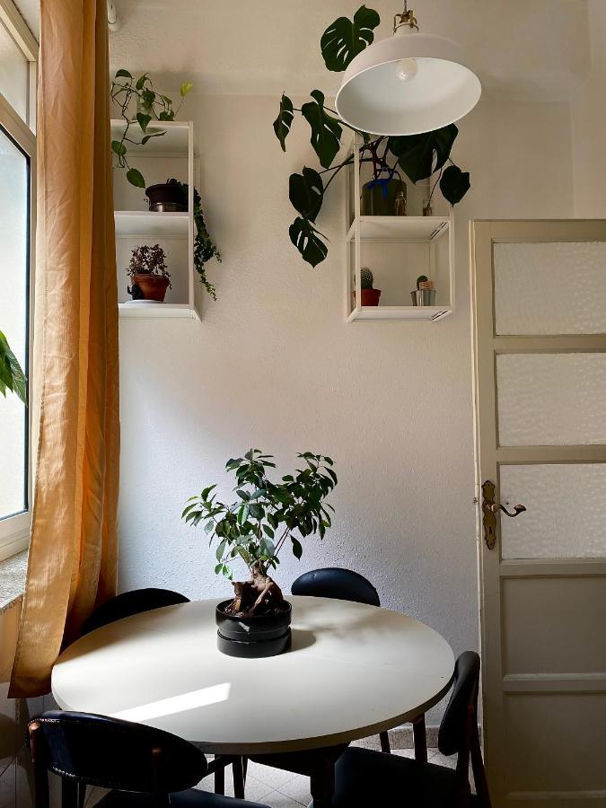 Bed and Breakfast 13 Open House Palermo Exteriér fotografie